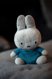 A close up of a stuffed animal, representing a comforting object for children during bedtime. Learn more about child counseling in Branchburg, NJ and how child therapy in Scotch Plains, NJ can offer support. Search for a child psychologist to learn more about child therapy in Branchburg, NJ and how they can help. 