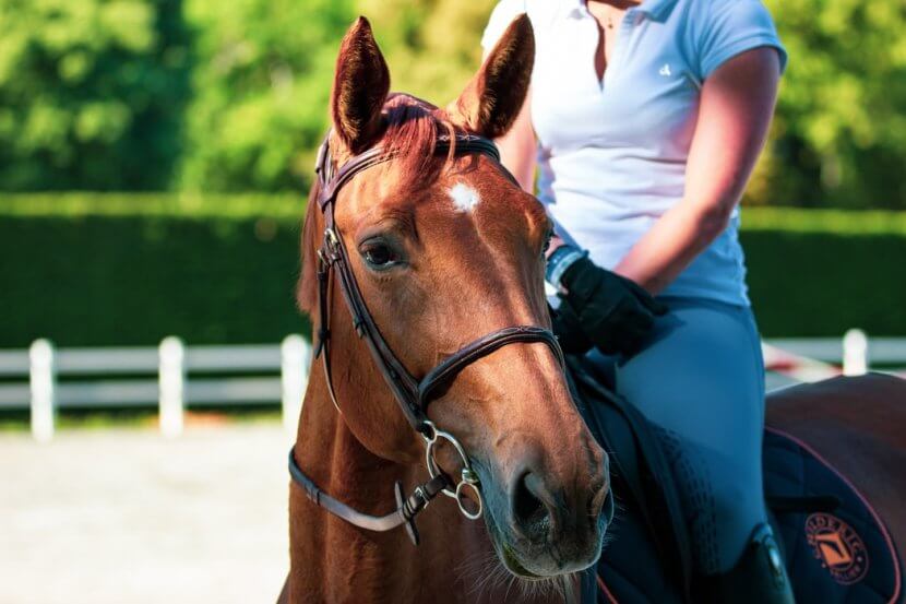 coping with anxiety and horseback riding