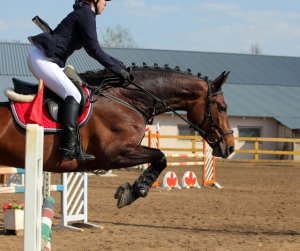 healthy body image equestrian