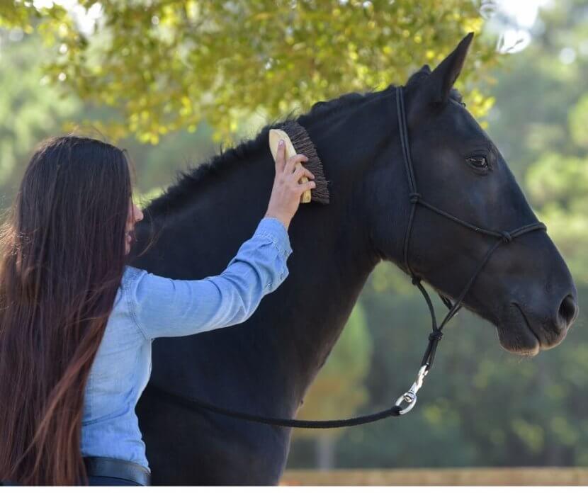 body shaming equestrian sport