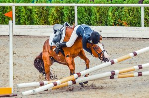 A horse and it's rider fall in the middle of a jump during competition. This could symbolize the trauma of horse riding accidents. We provide support with equestrian related trauma therapy in Scotch Plains, NJ. Contact a trauma therapist for support today. 