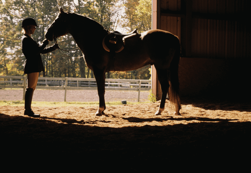 A horseback rider stands in a barn with her horse.