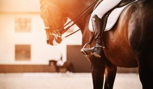 A horse and it's rider stand outside a barn at sunset. We offer equestrian related trauma therapy in Scotch Plains, NJ. Contact a therapist to learn more about anxiety counseling and other services to support you! 