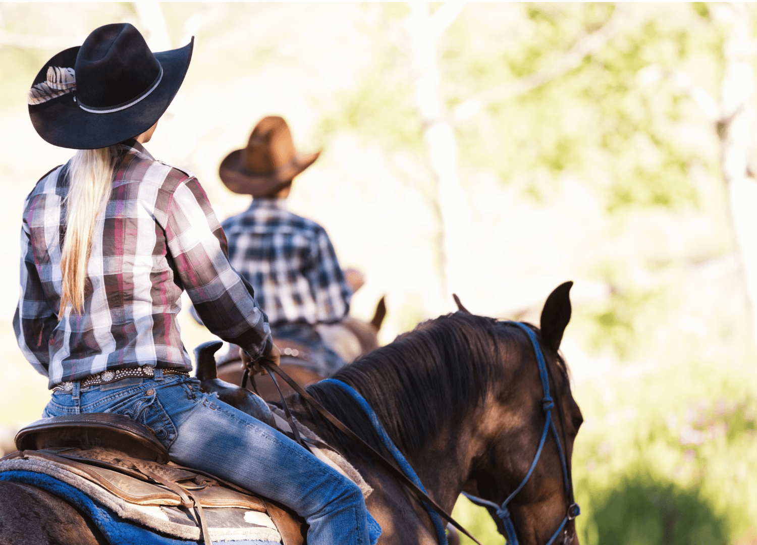 Two light skin toned people riding horses on a sunny day.