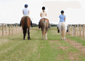 Three girls horses in a field. All three girls are wearing black riding boots, white pants, collared shirts and black riding helmets. The horses are brown and white.