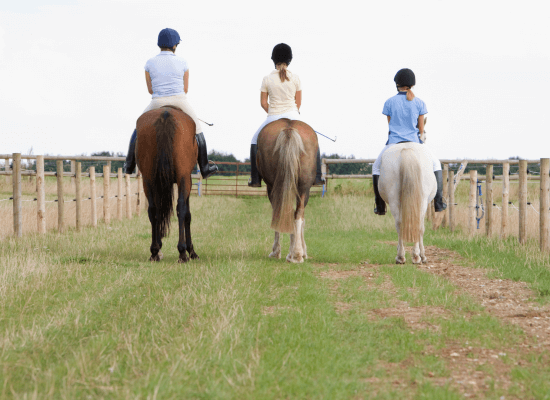 Three girls horses in a field. All three girls are wearing black riding boots, white pants, collared shirts and black riding helmets. The horses are brown and white.