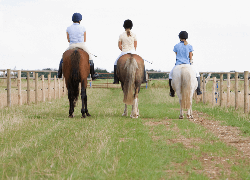 Three girls horses in a field. All three girls are wearing black riding boots, white pants, collared shirts and black riding helmets. The horses are brown and white.