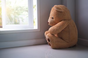 Image of a brown bear looking down out a window. Don't let the past cause future trauma. Start EMDR therapy for children or yourself in Scotch Plains, NJ 07076.