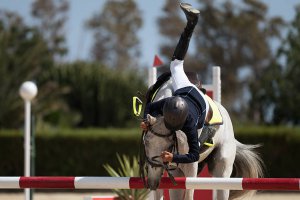 An image of a person flipping while riding their horse which represents the trauma that Westfield NJ counseling can help you address. Learn how a trauma therapist in Scotch Plains, NJ can help you overcome past injuries with equestrian related trauma therapy in Scotch Plains, NJ today.