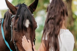 Image of a teenage girl petting a dark brown horse. Showing that equine therapy can help reduce anxiety in teens in Branchburg, NJ.