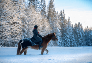 Equestrian riding their horse in the winter snow. A Florida and New Jersey therapist can help make the daunting task of transporting a horse down the east coast easier.