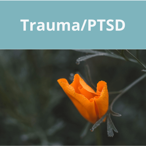 Trauma Therapy