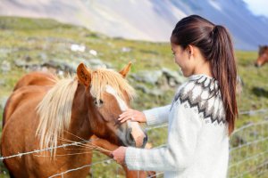 A woman holds hay while feeding a horse from behind a fense. Learn more about the help that an EMDR therapist in Branchburg, NJ can offer for equestrians. Search for EMDR therapy in Branchburg, NJ or "equestrian therapist branchburg, nj" today.