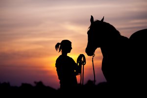 A silhouette of a rider holding the reigns of their horse. Search for equestiran therapy in new jersey for support from a trauma therapist in Scotch Plains, NJ. Or, contact an EMDR therapist in Branchburg, NJ today.