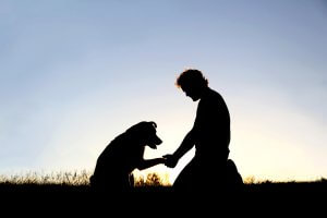 A silhouette of a person holding the paw of their dog. Get support with loss and grief in Scotch Plains, NJ by searching for grief counseling in Westfield, NJ. Search for online group therapy in New Jersey or “grief counseling nj” today.