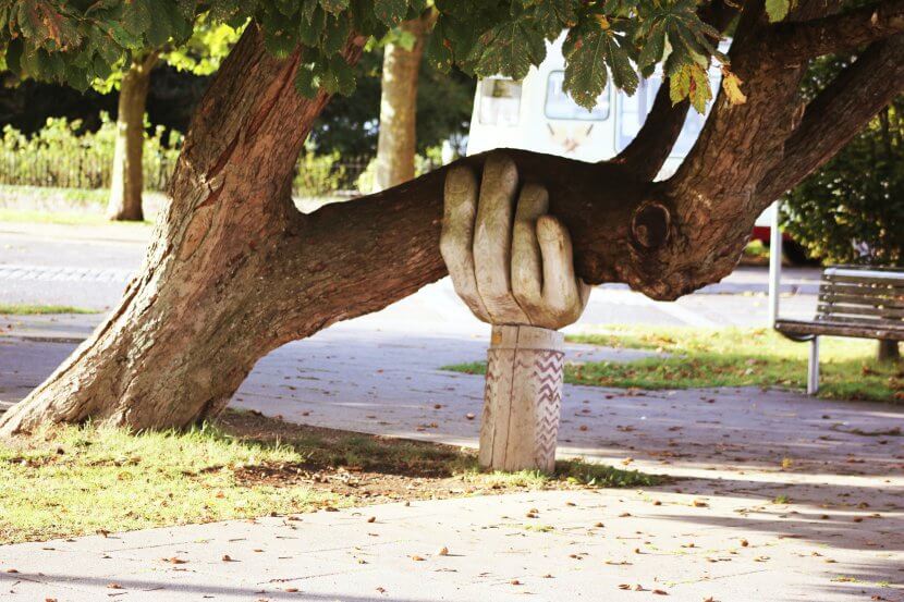 An image of a tree branch that looks like a hand supporting another tree. Find support from a therapist by searching for one in Somerset or Union County today!