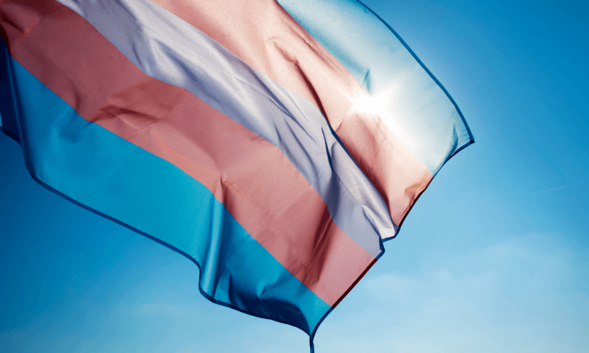An image of the Transgender Pride Flag, with colors of white, pink, and blue. This flag represents all children, youth, and adults that identify as part of the transgender community. Parenting a transgender teen may require some extra guidance for some people but a teen gender affirming therapist can help. Find an affirming therapist in Scotch Plains or Branchburg today!