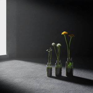 Three glass bottles with soil hold dandelions at different stages of bloom, placed on a concrete floor, illuminated by light from a nearby window in a dark room.