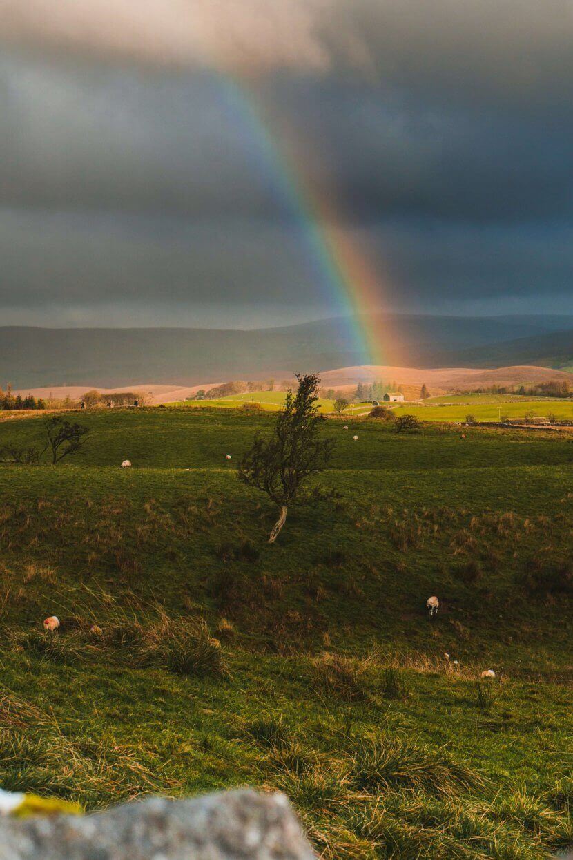 A vibrant rainbow arcs across stormy skies over rolling green pastures with grazing sheep in Scotch Plains, NJ, symbolizing hope and healing during grief and loss. Professional grief counseling services available in 07076, 07023, 07027, 07066, and 07090.