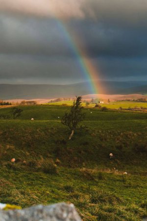 A vibrant rainbow arcs across stormy skies over rolling green pastures with grazing sheep in Scotch Plains, NJ, symbolizing hope and healing during grief and loss. Professional grief counseling services available in 07076, 07023, 07027, 07066, and 07090.