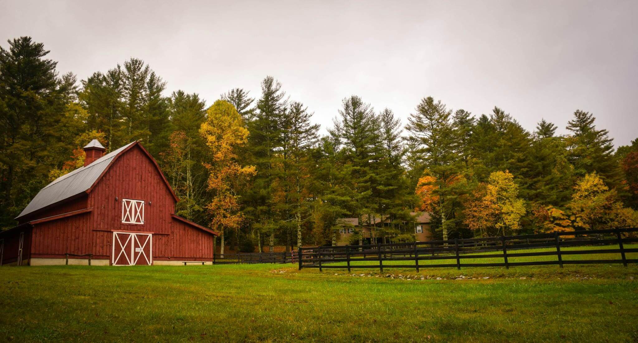 A serene red barn surrounded by fall foliage in New Jersey, representing the peaceful barn environments where equestrian therapy talks take place. If you're seeking equestrian-related trauma therapy, an equestrian therapist who understands your world can help you process the emotional complexities of horse life. Serving Branchburg and Scotch Plains, NJ. Our equestrian-informed therapists support riders dealing with grief, burnout, and performance anxiety. 