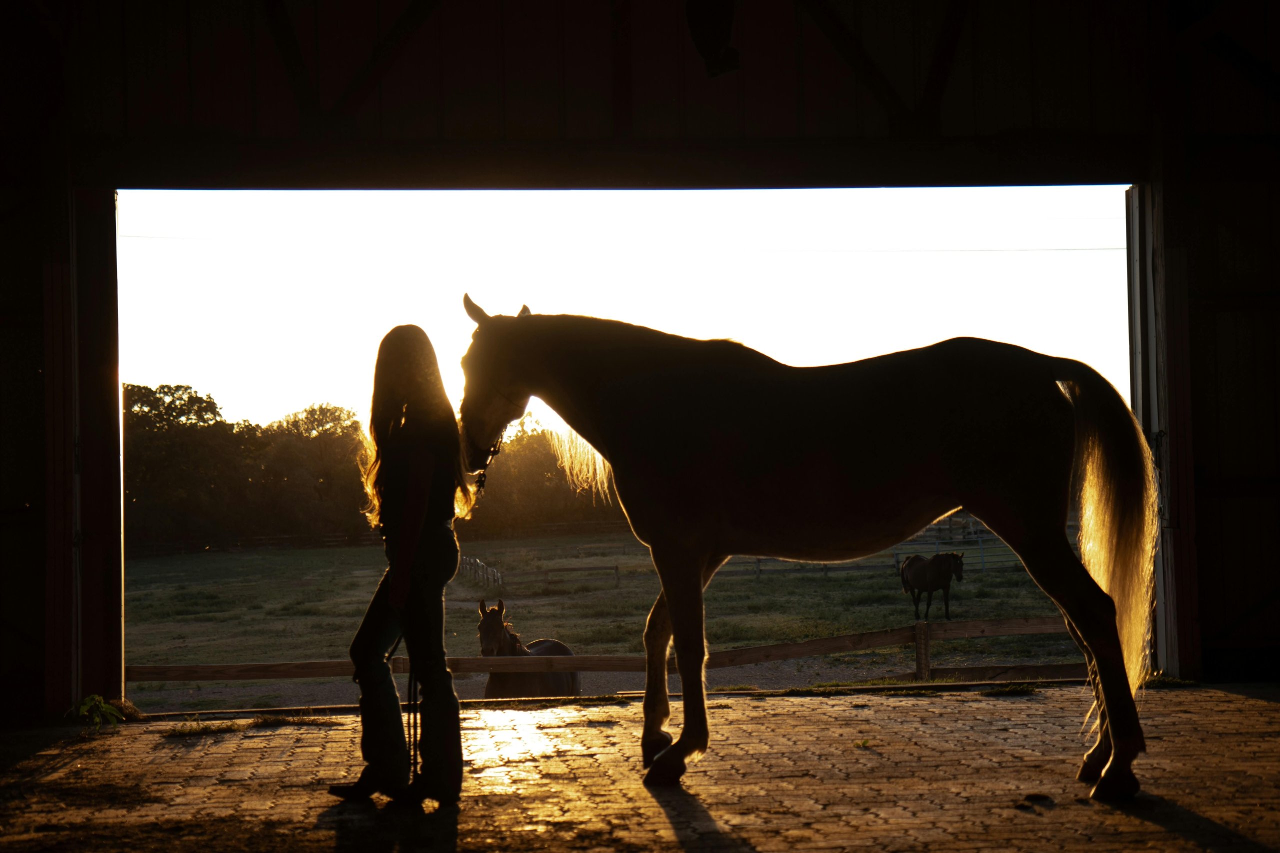 Backlit silhouette of person with long hair standing next to horse during golden hour sunset, both figures outlined against bright sky in barn or stable opening, illustrating healing bond in equestrian therapy
