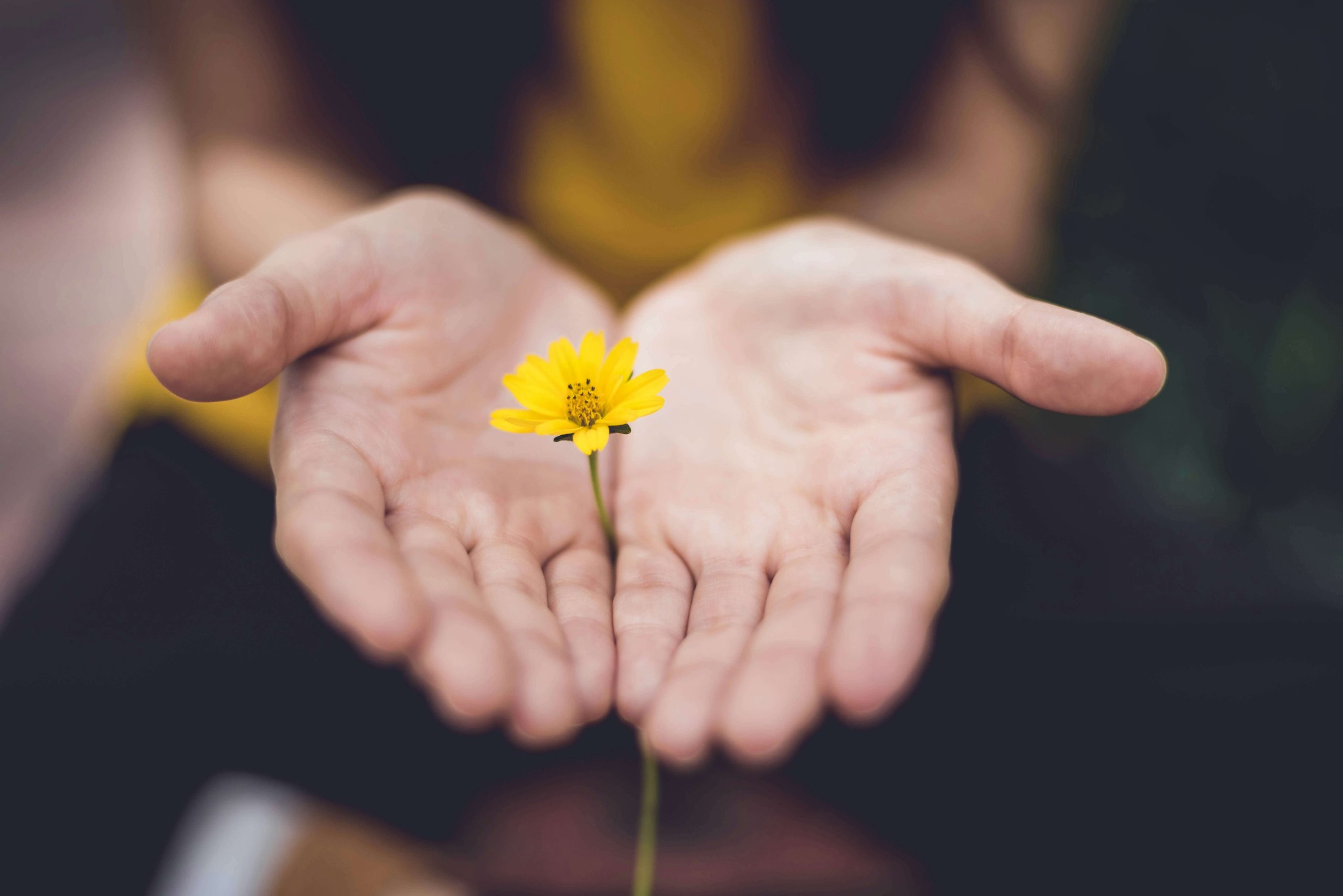 Healing starts when you stop shrinking yourself for everyone else. Compassionate people pleaser therapy and overthinking treatment in Bridgewater, NJ. Serving Bridgewater, Branchburg, Raritan, Somerville, Flemington, and Manville. Online therapy NJ available for new clients.